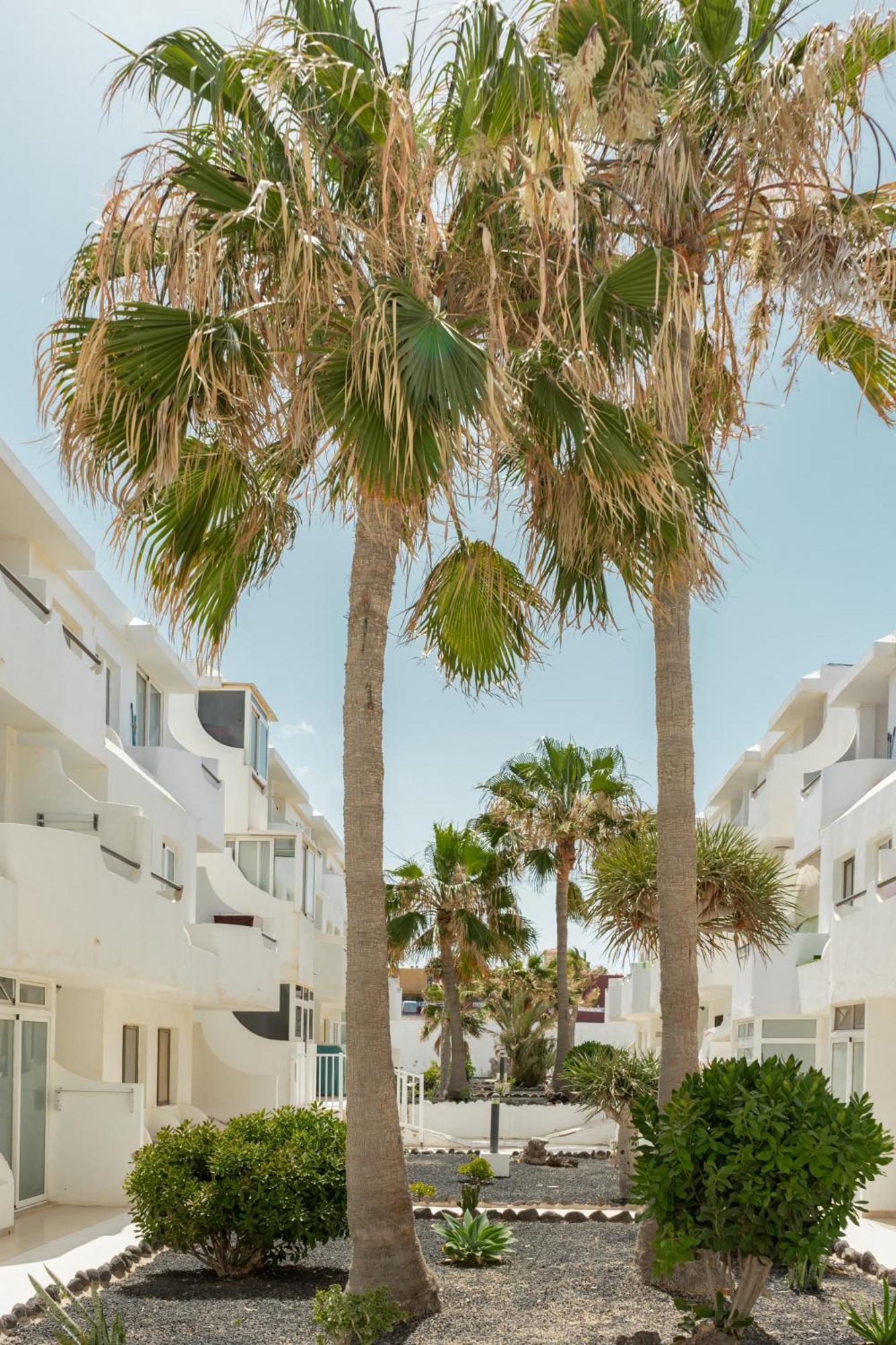 Appartamento Casa Maja Costa De Antigua Esterno foto